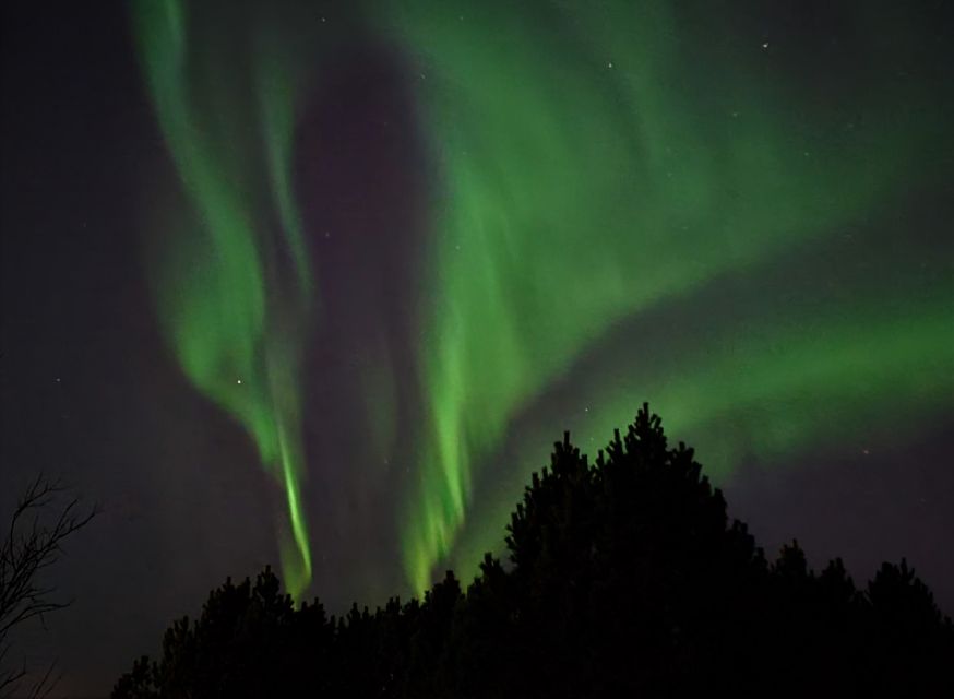 From Reykjavík: Spot the Northern Lights with Snacks & Drink - Weather, cancellations, and planning advice