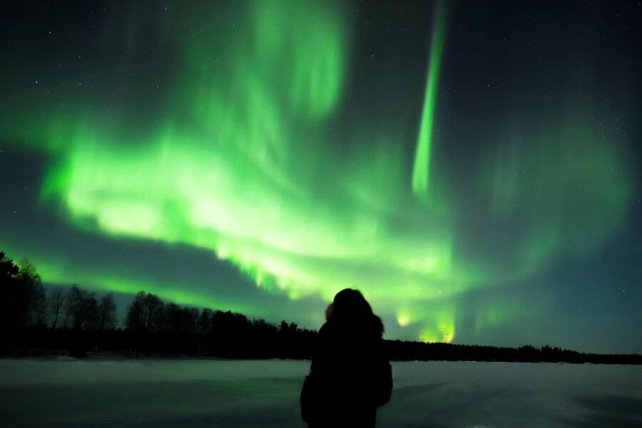 From Rovaniemi: Aurora Borealis Trip in Lapland Lakeside - What the Guide Adds to the Night