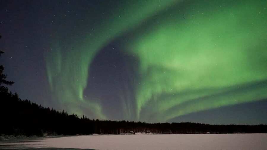 From Rovaniemi: Family-Friendly Northern Lights Tour - Leaving Rovaniemi for the dark forests