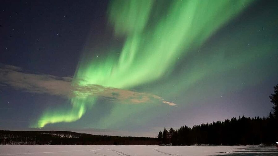 From Rovaniemi: Family-Friendly Northern Lights Tour - Group size and the family-friendly question