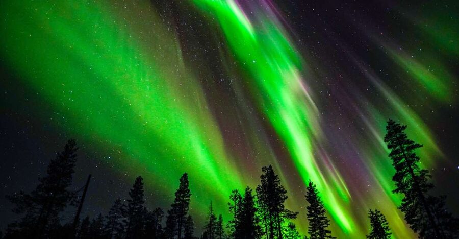 From Rovaniemi: Family-Friendly Northern Lights Tour - Is $123 good value for three hours?
