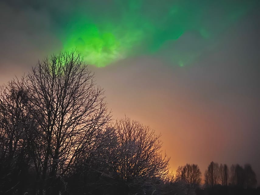 From Rovaniemi: Lapland Aurora Hunt with Barbeque - What makes this Aurora Hunt worth considering