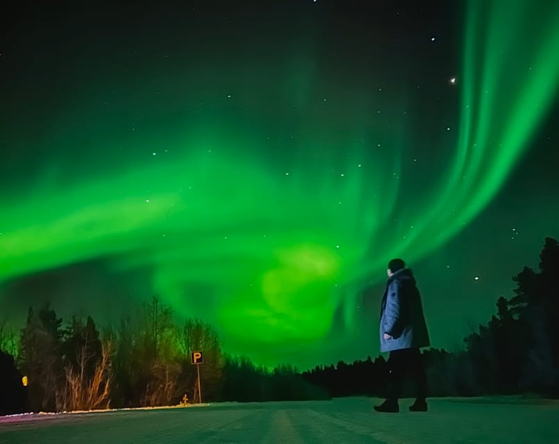 From Rovaniemi: Lapland Aurora Hunt with Barbeque - Cold-weather planning that matters