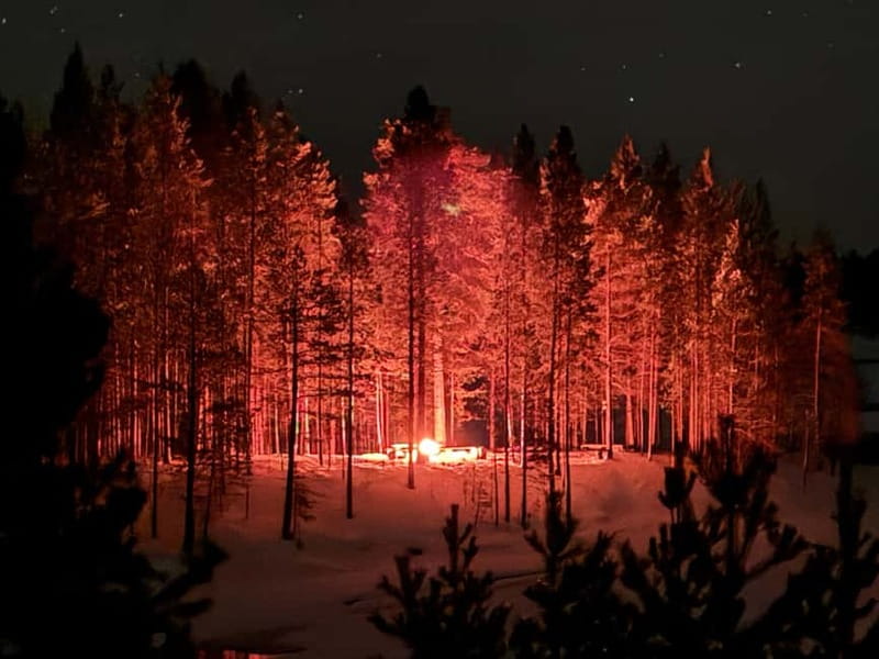 From Saariselkä/Inari: Aurora Hunting Tour, campfire&snacks - Why an active Aurora chase matters in Saariselkä