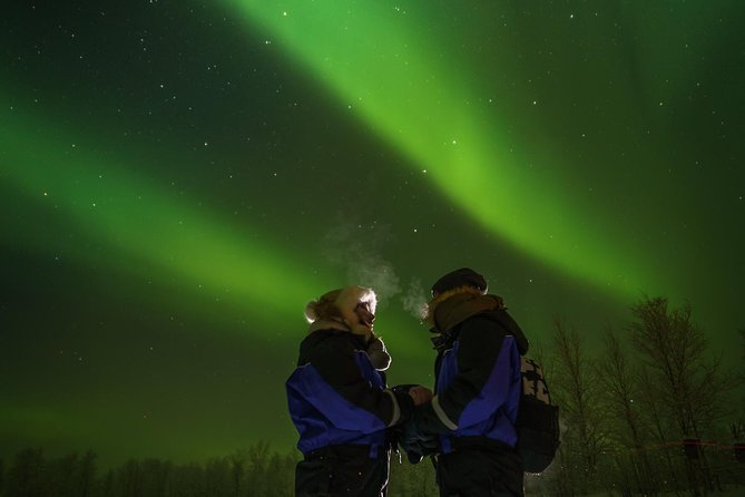 From Saariselkä: Northern lights tour to Lake Inari, incl. dinner - Who Will Enjoy This Tour Most?
