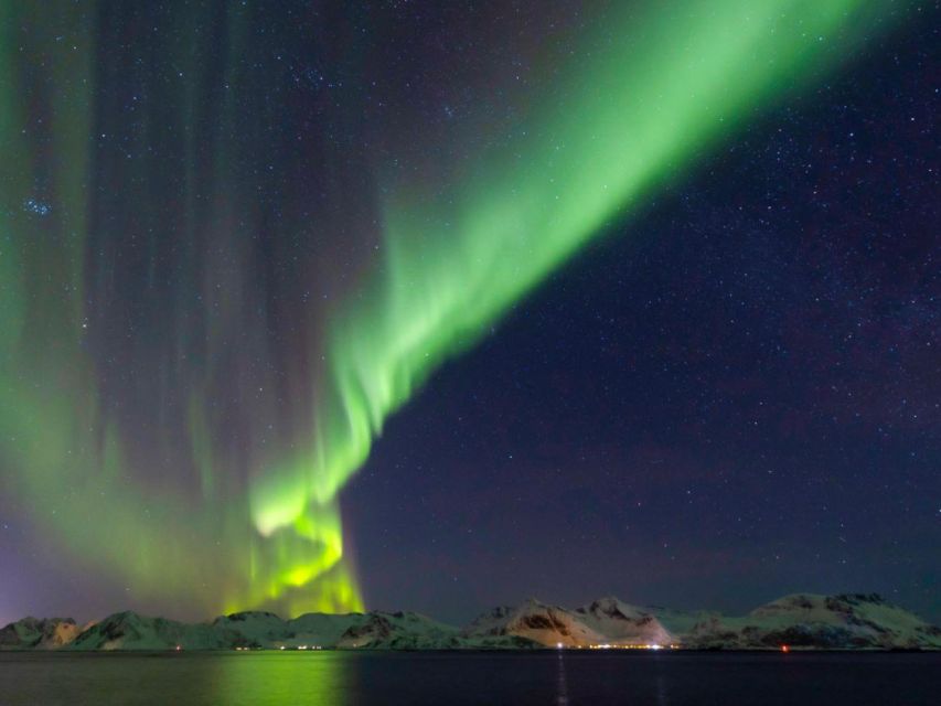 From Svolvær: Guided Northern Lights Tour by Van - Key points to know before booking