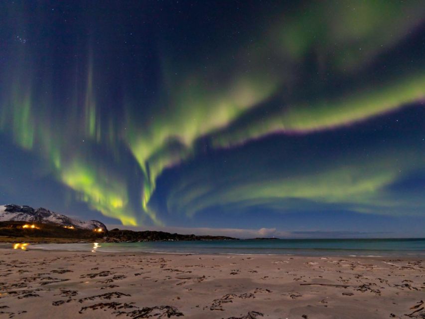 From Svolvær: Guided Northern Lights Tour by Van - Chasing clear skies instead of following a rigid route