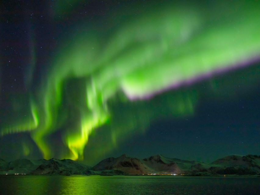 From Svolvær: Guided Northern Lights Tour by Van - Who should book this Svolvær tour?