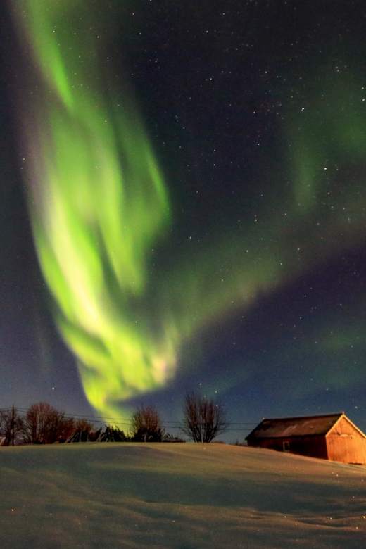 From Svolvaer: Private Northern Lights Search Trip - Searching the Lofoten sky from Svolvaer