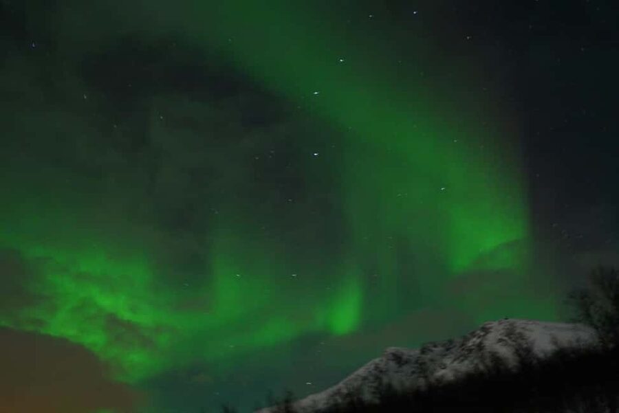 From Tromsø: Aurora Bus Tour with Snacks, Photos, and Drinks - Key points at a glance