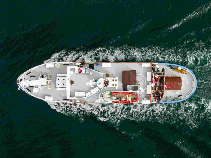 From Tromsø: Northern Lights Cruise on a Cozy Vintage Vessel - Key points to know before booking