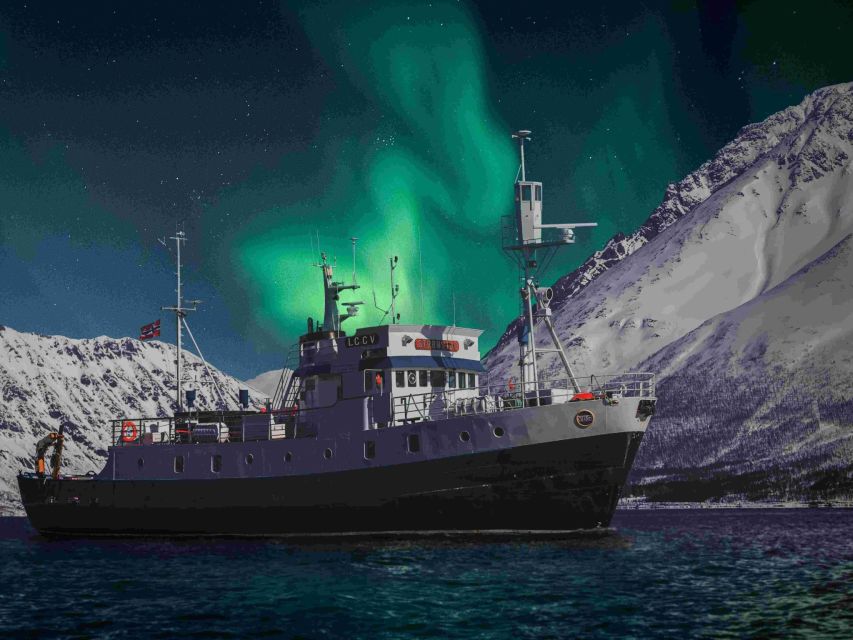 From Tromsø: Northern Lights Cruise on a Cozy Vintage Vessel - Starting at Full Steam Museum in Tromsø