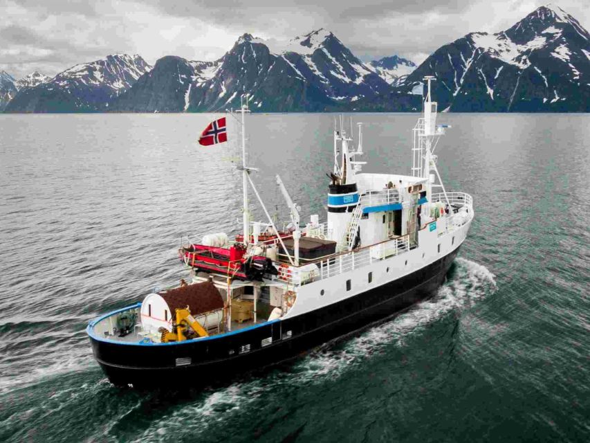 From Tromsø: Northern Lights Cruise on a Cozy Vintage Vessel - Inside MS Strønstad, where the ship earns its keep