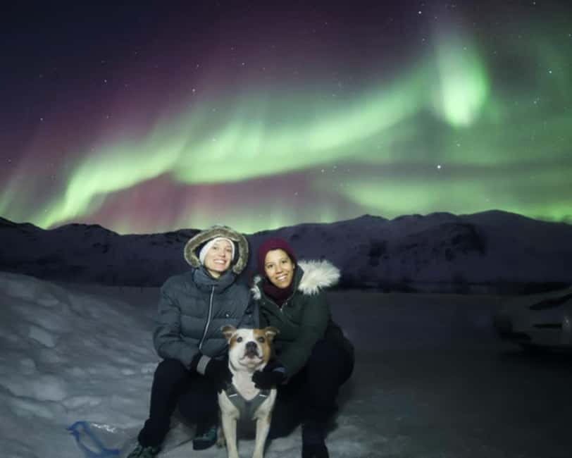 From Tromso: Northern Lights Photography Tour - Why this Tromso aurora tour is different