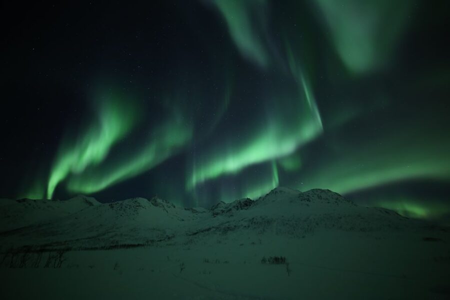 From Tromso: Northern Lights Photography Tour - How the guides shape the night