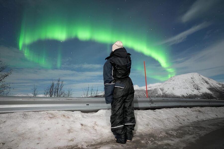 From Tromsø: Northern Lights Tour in Minibus with Photos - Waiting outdoors with thermal suits and hot chocolate