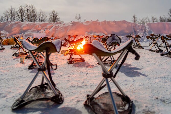 From Tromsø: Official Northern lights Safari - Is $101.02 good value?