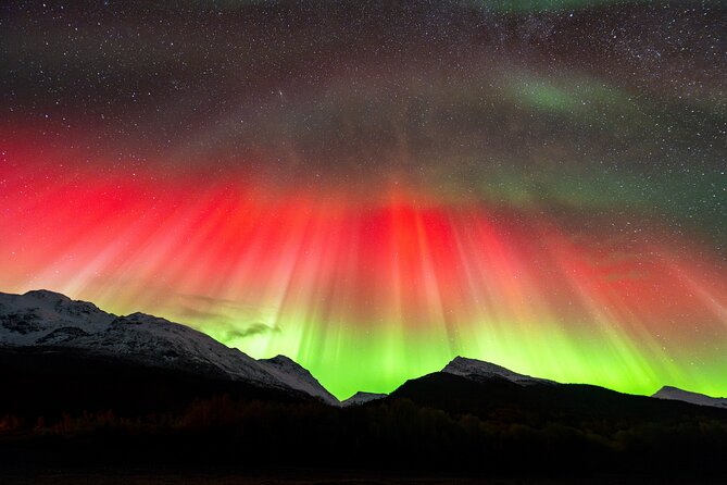 From Tromsø: OFFICIAL Northern Lights Safari by Minibus - Why a moving safari works in Tromsø