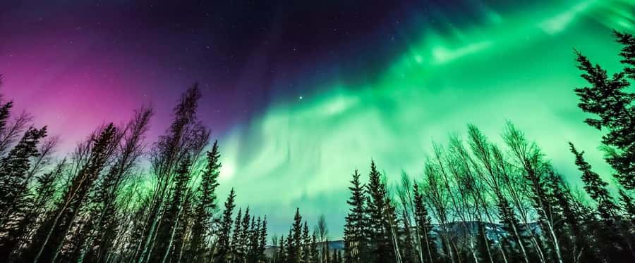 From Yellowknife:4-Day Aurora Viewing Tour with Hotel Pickup - Day 2: Great Slave Lake, old Yellowknife, and another aurora search