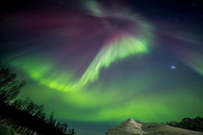 Full Night Magic of the Northern Lights in Tromso - The guide can make or break the night
