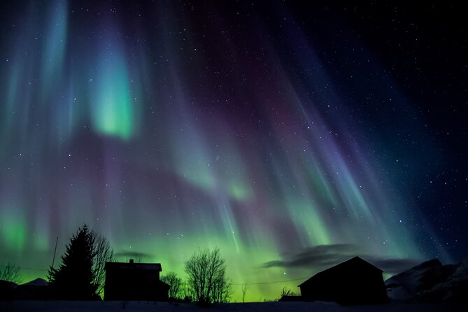 Full Night Magic of the Northern Lights in Tromso - What is included for $180.94?