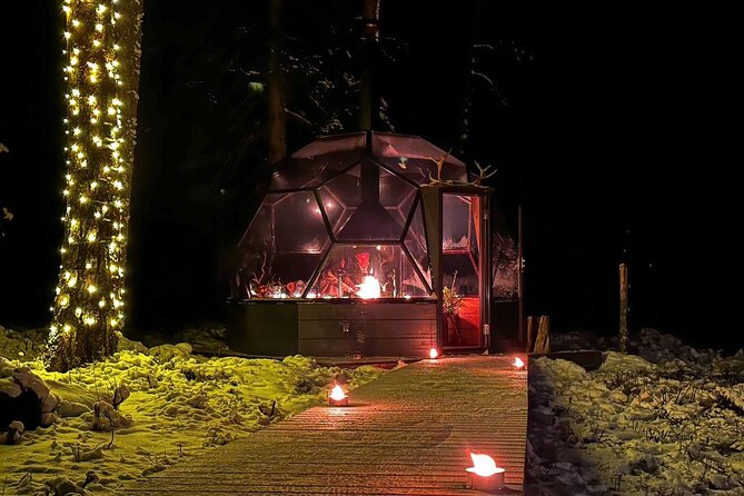 Glass Igloo Campfire Dinner under Northern Lights - Who will get the most from this experience?