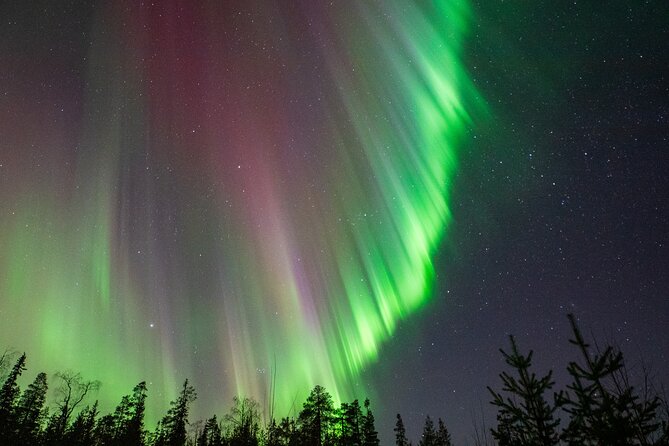 Go on a Northern Lights Photography Tour - Small Group by minivan - A second stop with tea and cookies