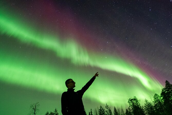 Go on a Northern Lights Photography Tour - Small Group by minivan - The ride back to Rovaniemi
