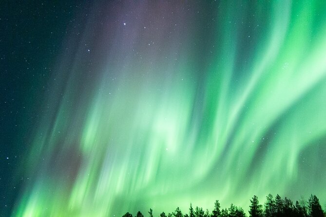Guaranteed Aurora Hunting Tour from Rovaniemi with Local Guide - The 100% Aurora refund and what it really means