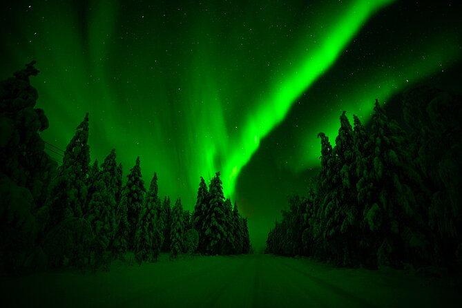 Guaranteed Northern Lights Hunting Adventure in Lapland - Why This Tour Takes the Aurora Seriously