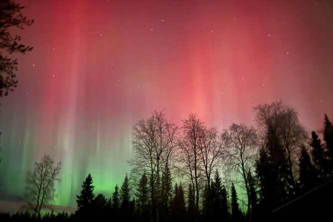 Guaranteed Northern Lights Tour in Rovaniemi - The Main Stop Is Really a Moving Target