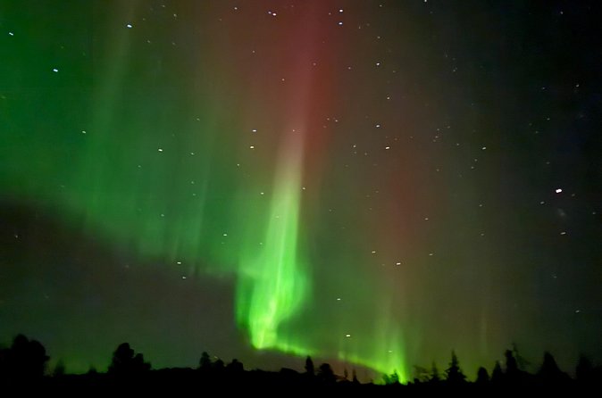 Guaranteed Northern Lights Tour in Rovaniemi - Is $191.27 a Fair Price?