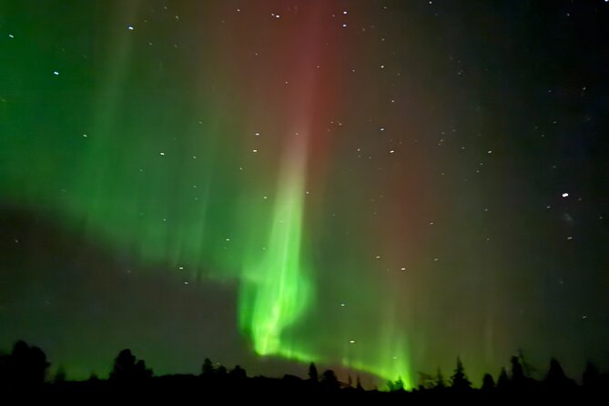 Guaranteed Northern Lights Tour in Rovaniemi - Who Will Get the Most From This Tour?