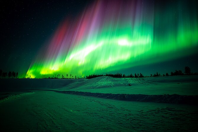 Guaranteed Northern Lights Tour with Photos - Photos that save you from camera trouble