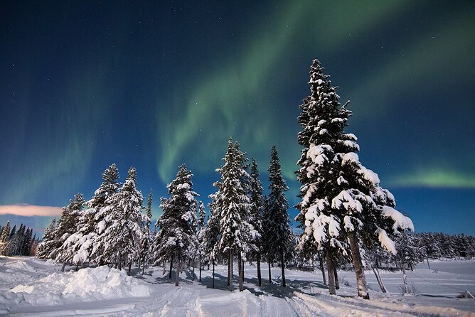 Guided Northern Lights Tour at Kiruna - Leaving Kiruna at 8:00 pm