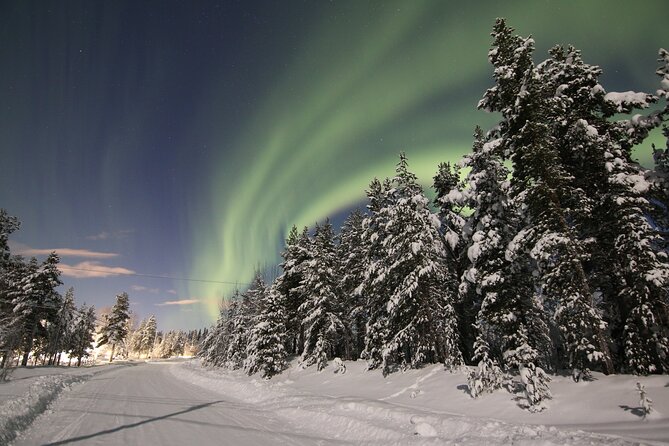 Guided Northern Lights Tour at Kiruna - What the 125-kilometer chase really means