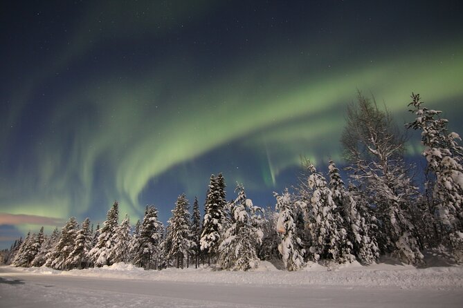 Guided Northern Lights Tour at Kiruna - Who will enjoy this Kiruna aurora tour?