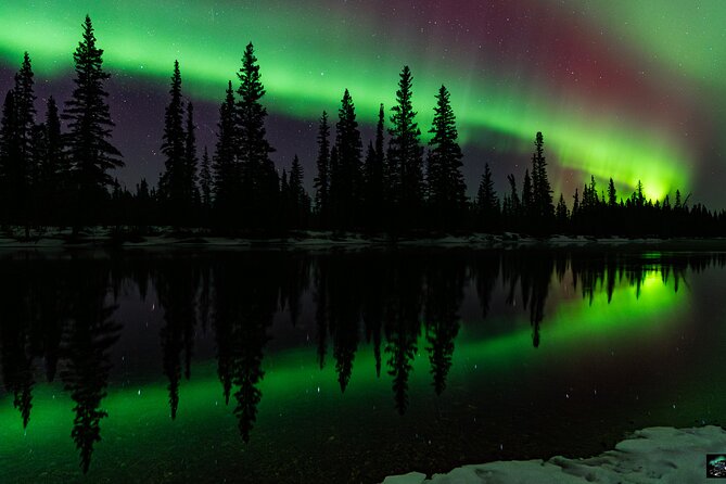 Half Night Personalized Aurora Chase and Photography - Chasing the aurora from Fairbanks