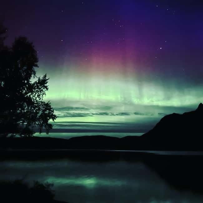 Harstad/Narvik: Northern Lights Tours with Second Day Chance - Key points to know before booking