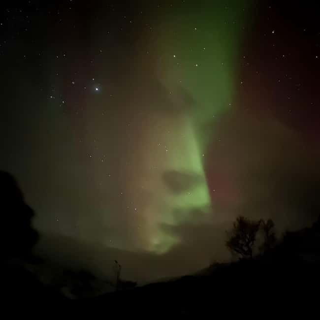 Harstad/Narvik: Northern Lights Tours with Second Day Chance - Who should book this private outing?