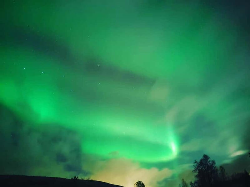 Harstad/Narvik: Northern Lights Tours with Second Day Chance - Constantin makes the difference