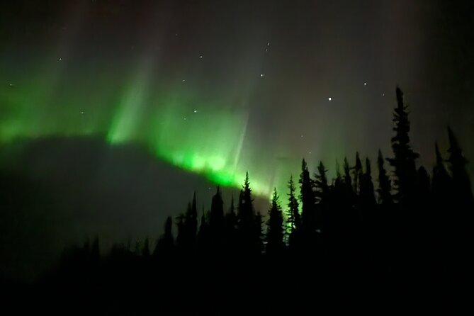 Hot Spring and Northern Lights Photography Tour - Dinner is convenient, but budget for it separately