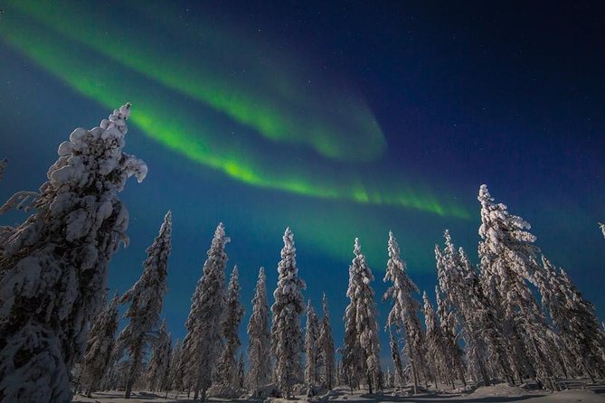 Hunting Northern Lights with Husky - What this Rovaniemi night tour actually offers