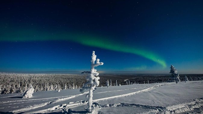Hunting Northern Lights with Husky - The husky sled ride: magical, but short