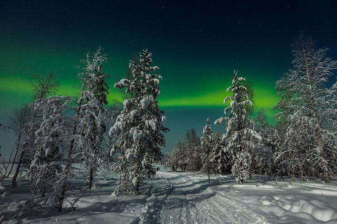 Hunting Northern Lights with Husky - Hunting the Northern Lights after dark