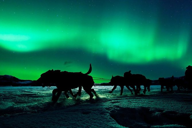 Hunting Northern Lights with Husky - Who should book this experience?