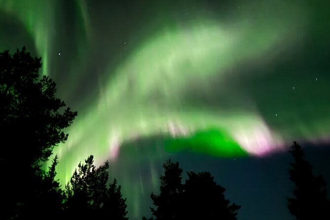 Husky Sled Ride Northern Lights Tour from Kiruna - Why a husky ride is a smart way to chase the aurora