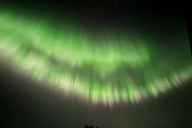 Husky Sled Ride Northern Lights Tour from Kiruna - The 6-kilometer sled ride through the dark