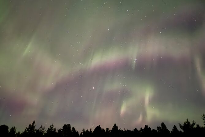 Husky Sled Ride Northern Lights Tour from Kiruna - What the $194.04 price really covers