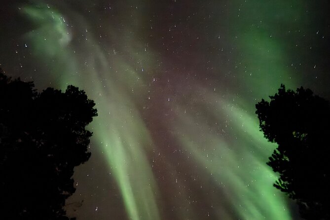Husky Sled Ride Northern Lights Tour from Kiruna - Group size, timing, and the practical details